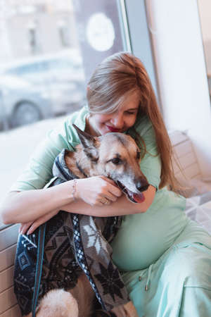 Portrait of smiling beautiful pregnant women with her dog. Pregnant lifestyle.の写真素材
