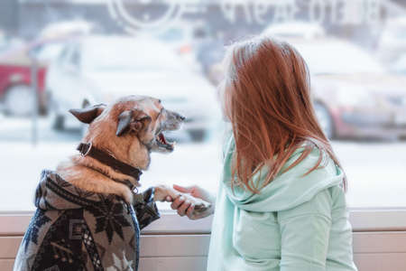 Young Caucasian blond women is holding her dog by paw. Owner and dog are sitting in cafe and looking...