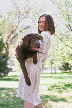 Smiling young woman is holding her puppy of chocolate Labrador retriever in arms. Love for pets and friendship concept.の写真素材