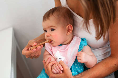 Mother feeding cute baby girl vegetable puree from a spoon. Healthy eating nutrition for little kidsの写真素材