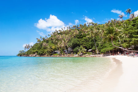 Ko Pha Ngan Island, Thailand - January 25, 2020: Tropical landscape on seashore with sandy beach, clear sea palm trees and blue sky on hot sunny day.のeditorial素材