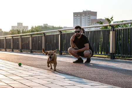 Handsome European man in sunglasses is walking with dog on a street.の写真素材