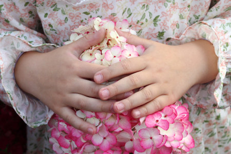 Hands of little girl in floral dress holding vibrant bouquet of pink hydrangeas in a sunny garden.の写真素材