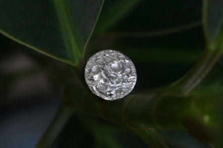 Close-up view of round handmade silver earring with rough moon texture on green leaf background.の写真素材