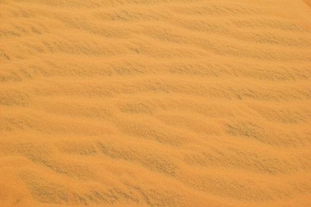 Golden Desert Sand Dunes Landscape with Ripples and Texture. Abstract Nature Background.