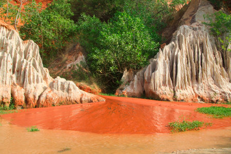 Enchanting Fairy Stream Amidst Towering Cliffs and Greenery. Natural Landscape. Mui Ne, Vietnam.の写真素材