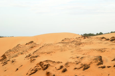 Golden Sand Dunes Landscape. Desert Scene with Natural Textures. Mui Ne, Vietnam, Red Dunes.の写真素材