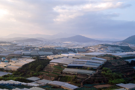 Extensive Greenhouse Farming Landscape in Dalat, Vietnam. A Serene Overview of Agriculture.の写真素材