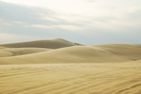 Sand Landscape with Cloudy Sky. Desert Scene for Travel and Adventure. Mui Ne, Vietnam, White Dunes.の写真素材