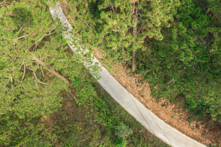 Winding Road Through Lush Green Forest. A Scenic Aerial View for Travelers. Dalat, Vietnam.の写真素材