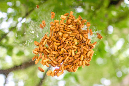 Pile of Brown Seeds on a Reflective Surface Underneath a Canopy of Green Leaves. Bounty of Nature.