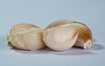 Garlicの写真素材