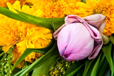 A bunch of Lotus flowers for Buddhist prayer