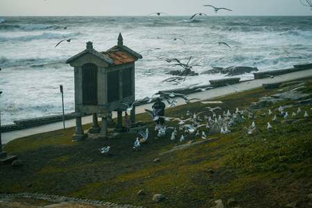 Coast with bad weather, seagulls and horreo in Baiona, Galicia Spainの写真素材