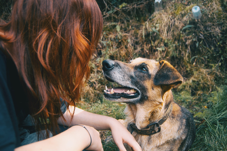 look between friends, a redhead girl and her dogの写真素材