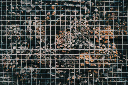 texture of pine cones behind a metal fenceの写真素材
