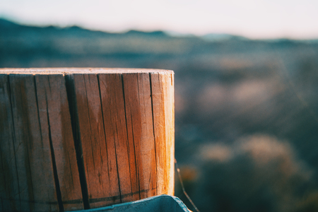 Wooden stump with a sunset light in the backgroundの写真素材