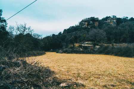 Landscape of a yellow meadow on a cloudy day with a mountain in the backgroundの写真素材