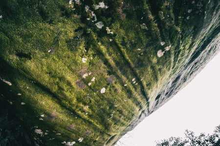 Large and smooth green stone with moss in natureの写真素材