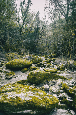 Large stone path with green moss in the middle of the forest in natureの写真素材