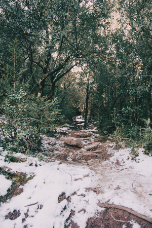 Snowy mountain trail in natureの写真素材