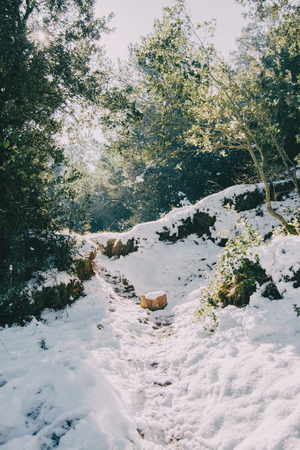 Snowy landscape in the midst of nature with sunbeamsの写真素材