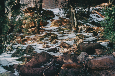 Snowy landscape in the midst of nature with sunbeamsの写真素材