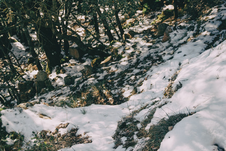 Snowy landscape in the midst of nature with sunbeamsの写真素材
