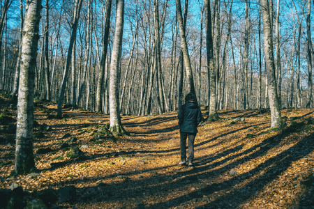 A girl hiking through the shadows of the trees in an autumnal forestの写真素材