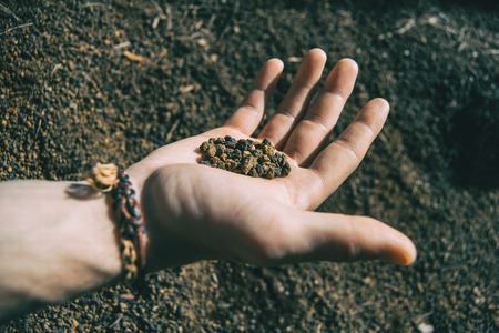 Close-up of some volcanic soil held by a human hand with a braceletの写真素材