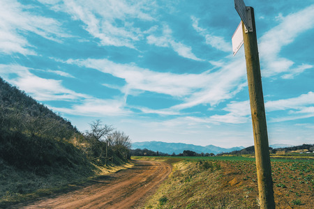 A sunny rural landscape with a path and a signpostの写真素材