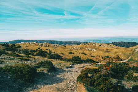 View of a landscape with yellowish fields and mountains taken from a footpathの写真素材