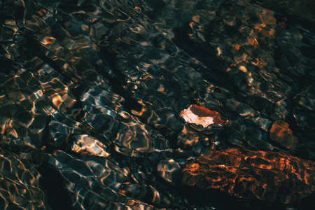 Close-up of a dry fallen leaf floating on the surface of the water in a river