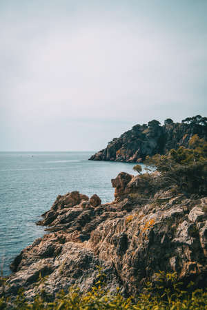 Vertical landscape of a rocky coast with some vegetation in Costa Brava