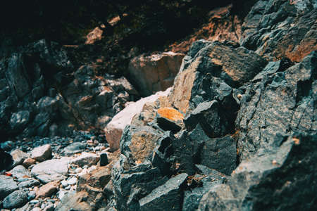 Close-up of a pile of steep gray rocks illuminated by sunlightの写真素材