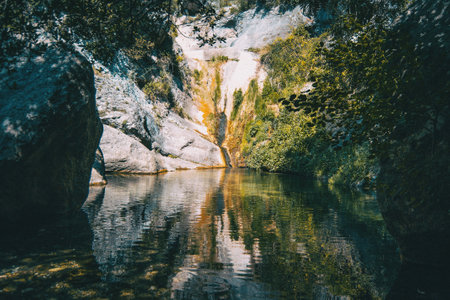 landscape of a small waterfall in a forest of tarragona, spain on a sunny dayの写真素材
