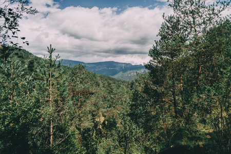 green landscape with many trees and bushes somewhere in catalonia, spainの写真素材