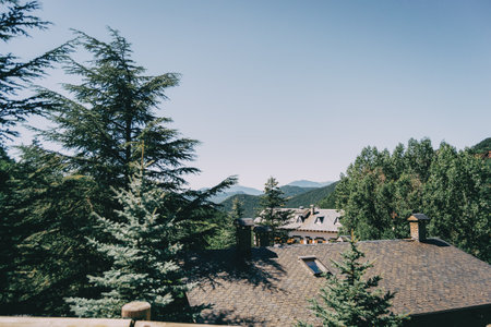 View from above of several rooftops of a rustic town located in Catalonia, Spain. The day is sunny with a cloudless blue sky. The roofs are next to tall green trees.の写真素材