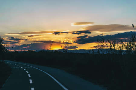 sunset with beautiful colors in the clouds in contrast to the black of plants in the foreground
