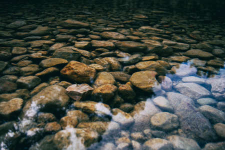 calm stream with many stones on the path, surrounded by much green forest in catalonia, spainの写真素材