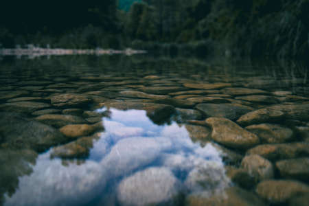 calm stream with many stones on the path, surrounded by much green forest in catalonia, spainの写真素材