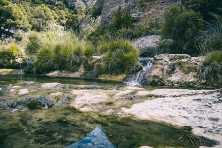 calm stream with many stones on the path, surrounded by much green forest in catalonia, spain