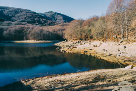 view of part of the santa fe swamp in winter located in the montseny mountains, catalonia, spainの写真素材
