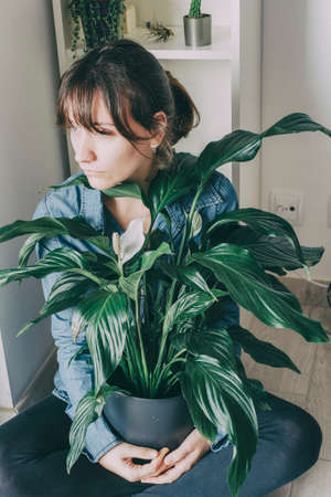 portrait of a woman with brown hair sits on the floor of her house and hugs a plant from a potの写真素材