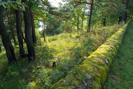 Forest landscape: view from the hill to the river, there is a round cobblestone border overgrown with moss on the hillの写真素材