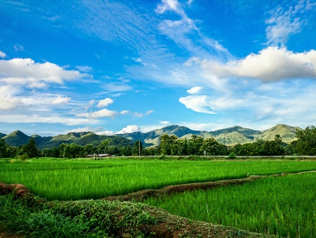 Sky, mountain and paddy field
