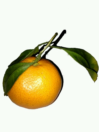 Orange with shadowの素材