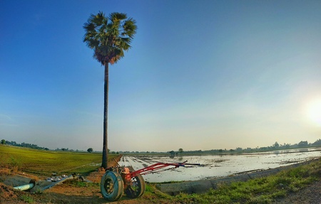 Wheel plough at paddy fieldの素材