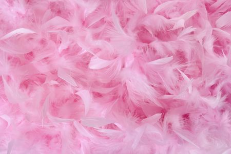 Fluffy bird feathers in pastel colors. Soft romantic backgroundの写真素材