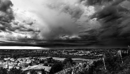 grapevine cultivation in the italian countryside in a stormy summer dayの写真素材